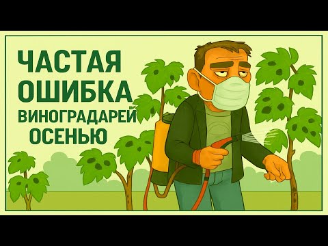 Видео: 🍇 Виноград осенью. Не забывайте про ЭТО. Милдью и оидиум не спят — как защитить лозу осенью?