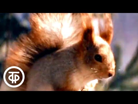 Видео: В таежных предгорьях Урала. Документальный фильм (1973)