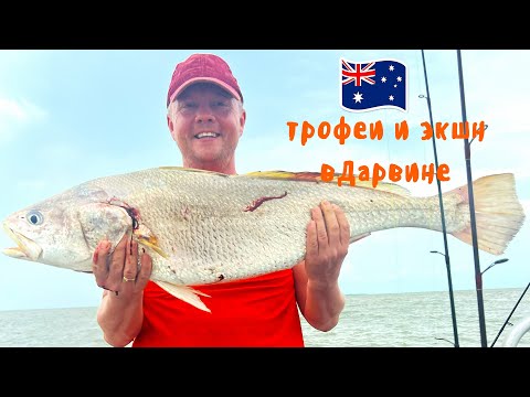 Видео: Охота за трофеем у берегов Дарвина (Австралия) | Морская рыбалка