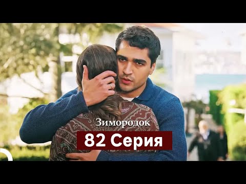 Видео: Зимородок 82 Cерия (Русский дубляж)