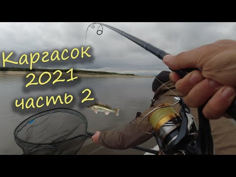 Видео: Рыбалка на Оби | Каргасок 2021 часть 2 - сломали шатёр, затопили палатку