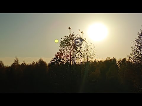 Видео: ОТЛИЧНОГО ВЕЧЕРА.