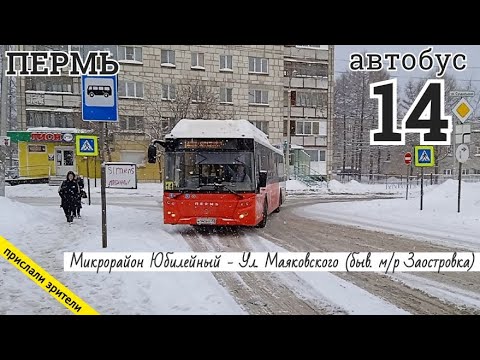 Видео: Пермь автобус 14 мр Юбилейный - Ул. Маяковского (быв. мр Заостровка) / 13.2.2022 / Владислав Малыгин