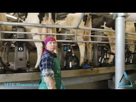 Видео: Обзор Молочно-товарного комплекса  🐮 на 2400 голов ОАО "Новополесский" в Солигорском районе.
