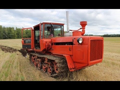 Видео: Трактор ДТ-175 с "Волгарь".Редкий зверь заката СССР.Обзор.ДТ-175/СССР/Волгарь.