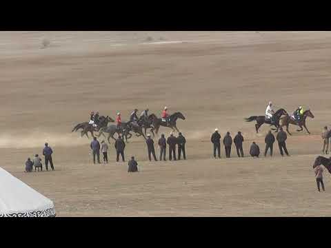 Видео:  Чоң Жорго