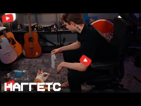 Видео: СТИНТ: ИСТОРИЯ НАГГЕТСА