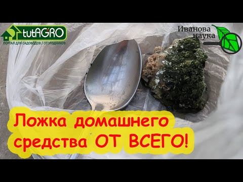 Видео: 5 способов хранения ДОМАШНЕЙ ТРИХОДЕРМЫ. Использование триходермы для рассады, грядок, сада и цветов