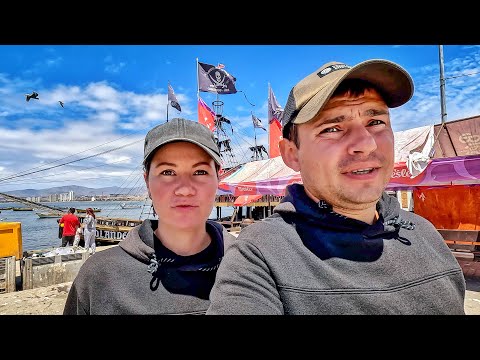 Видео: Чили. Мы в шоке от увиденного. Самый дорогой курорт. Пингвины и морские львы #3
