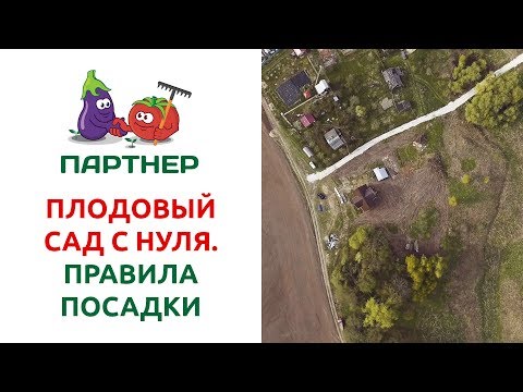 Видео: ПЛОДОВЫЙ САД С НУЛЯ. ПРАВИЛА ПОСАДКИ.