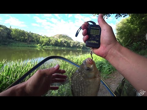 Видео: РЫБАЛКА НА ПРУЖИНЫ р.ДОН КАРАСЬ, ЛЕЩ. Август 2022
