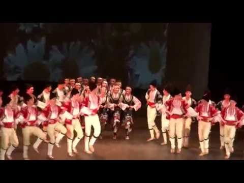 Видео: Шопска сюита - НУТИ Випуск 2017