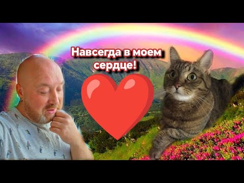 Видео: ВСПОМНИЛ ЛЮСЕНЬКУ СТАЛО ГРУСТНО. УБОРКА, А КАК ВЫ УБИРАЕИЕ ТАМ?