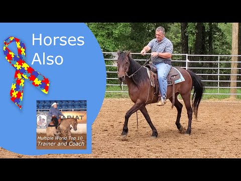 Видео: Эта лошадь в спектре аутизма