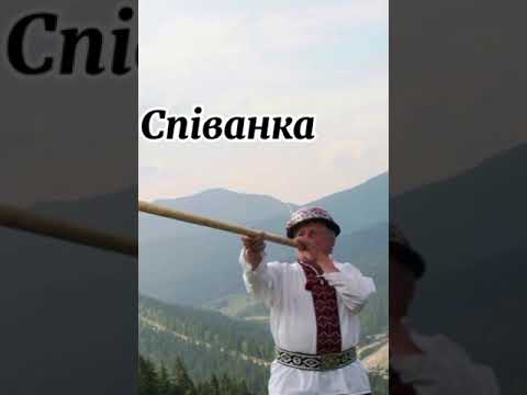 Видео: Гуцульська співанка яка варто прослухати, чоловік на кутаню