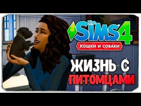 Видео: ЖИЗНЬ С ПИТОМЦАМИ! - The Sims 4 "Кошки и Собаки" ▮