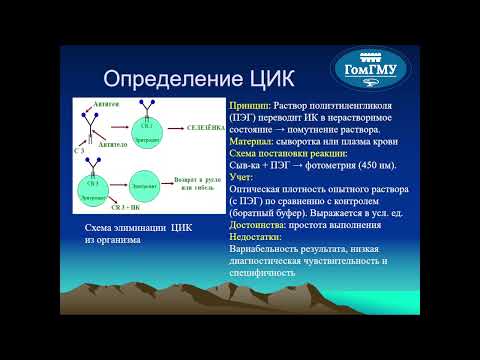 Видео: Новикова И.А. Оценка иммунного статуса