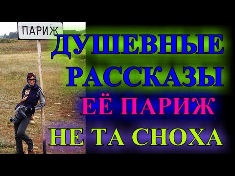 Видео: ДУШЕВНЫЕ ЖИЗНЕНЫЕ  РАССКАЗЫ❤️НЕ ТА СНОХА❤️ВОЛШЕБНОЕ ПЛАТЬЕ❤️ЕЁ ПАРИЖ❤️
