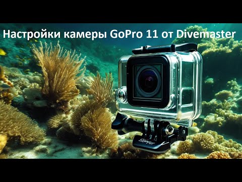 Видео: Настройки камеры GoPro 11 для подводной съемки