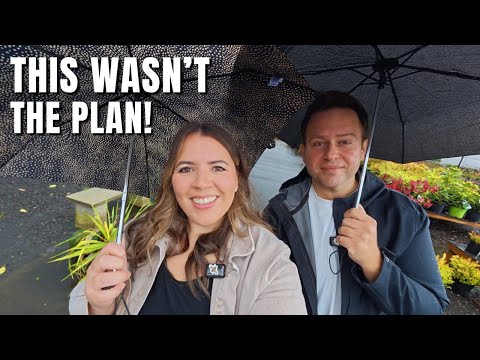 Видео: Мы должны были сажать... А потом случилось это 😅🌿🤝