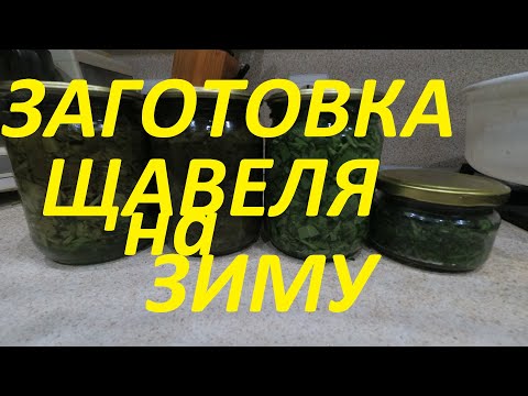 Видео: Заготовка щавеля на зиму