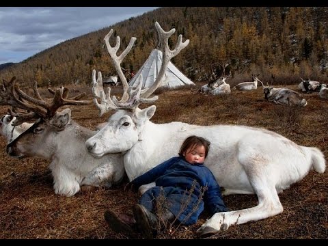 Видео: Последние племена. Эвенки.