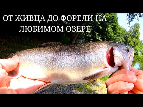 Видео: Наш лучший водоём опять открыт!!! ОБЕРШТАЙНЕБАХ.