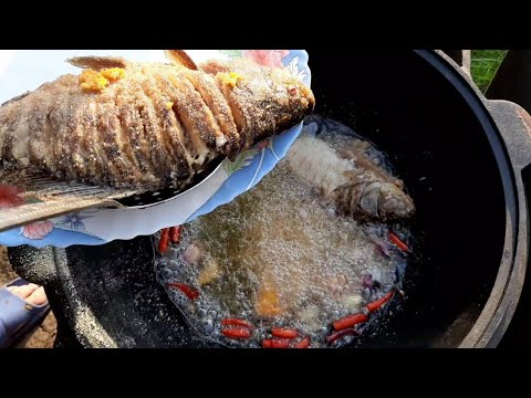 Видео: Карась жареный в казане на костре.