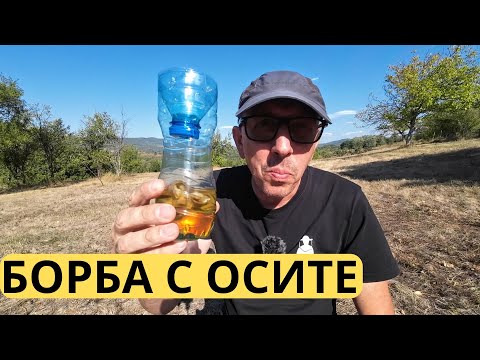 Видео: БОРБА С ОСИТЕ