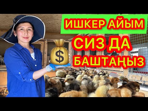 Видео: 40 Балапан менен Баштагам || Канаттуулар, Жөжөлөр, Жумурткалар, Гүлдөрдү ушул КОРООДОН ТАБАСЫЗ.