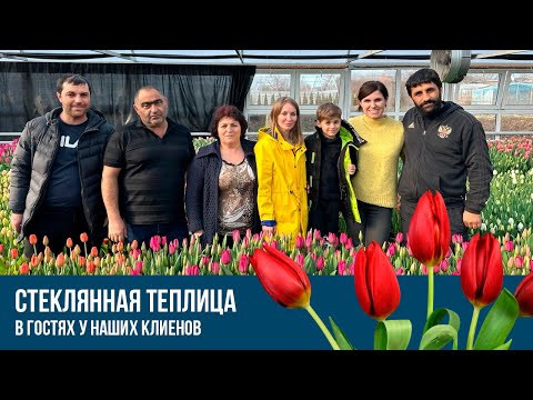Видео: Стеклянная теплица. В гостях у наших клиентов