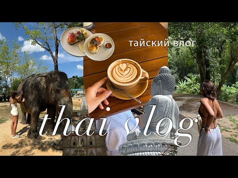 Видео: тайский влог | пхукет: заповедник слонов, статуя будды, водопады и кафе