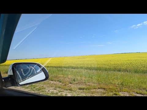 Видео: Снова в путь.Уральск - Алматы.Первый день пути.Июль 2022.