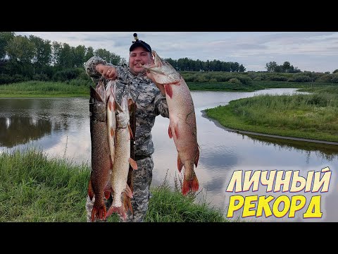 Видео: РЫБАЛКА КАК В ЯКУТИИ!!! ТАКИХ ЩУК В ЭТОМ МЕСТЕ Я НЕ ОЖИДАЛ!!! ЛОВЛЯ ЩУКИ НА СПИННИНГ НА ДЖИГ.