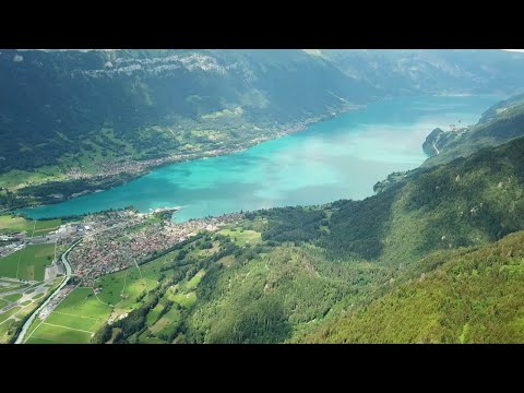 Видео: Сказочная Швейцария, снова в горы, нападение альпийских коров. Часть 4.