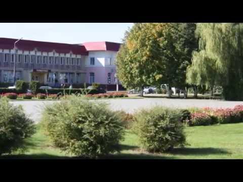 Видео: Мой Клецк, 2014