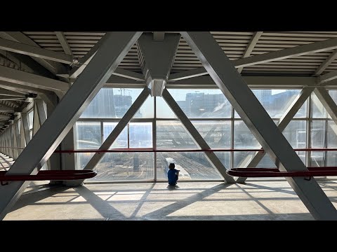 Видео: ИЗ ГЕРМАНИИ В КАНАДУ. ТОRONTO/DOWNTOWN.