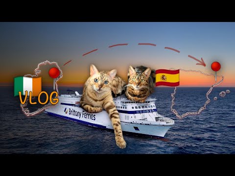 Видео: С КОТАМИ НА ПАРОМЕ В ИСПАНИЮ  🎬 #Vlog https://www.youtube.com/@Dmitrij_and_Elena_Live