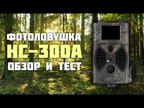 Видео: Фотоловушка HC-300A. Обзор и тест.