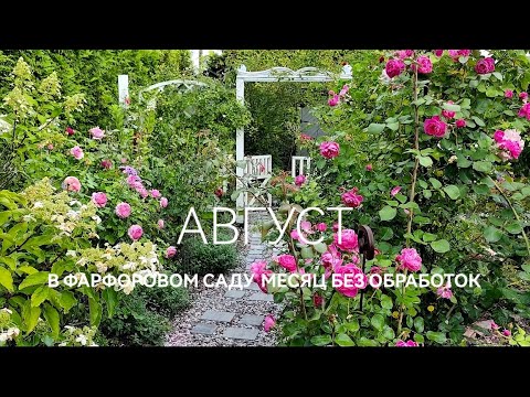 Видео: Привет, Август. Месяц без обработок