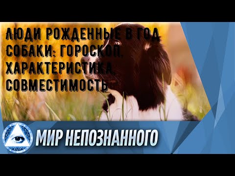 Видео: Люди рожденные в год Собаки: гороскоп, характеристика, совместимость