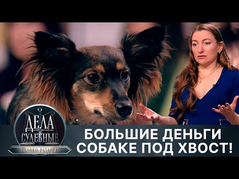 Видео: Дела судебные с Алисой Туровой. Яблоко раздора. Эфир от 19.04.24