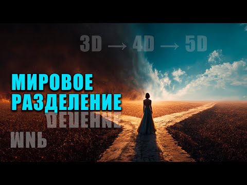 Видео: СКОРОСТИ СОЗНАНИЯ РАСТУТ! Как меняется наша реальность?