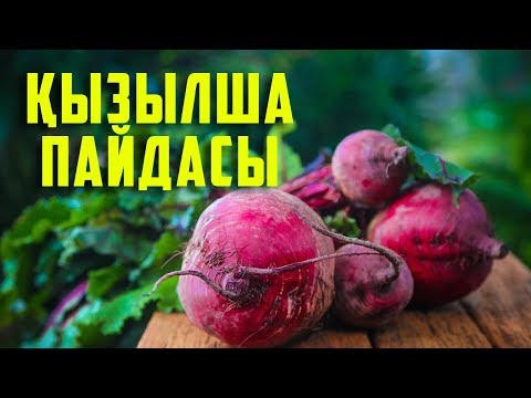 Видео: ҚЫЗЫЛШАНЫҢ 3 ЕМДІК ҚАСИЕТІ |  ЖЕУГЕ БОЛМАЙТЫН ЖАҒДАЙЛАР