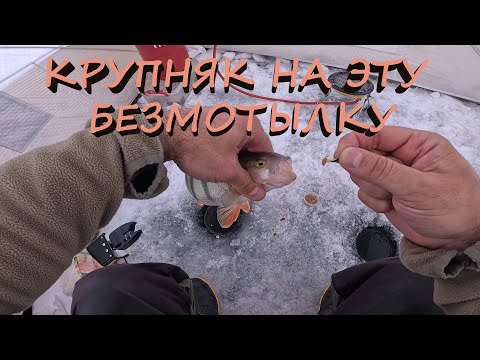 Видео: 2-Я ПРОТОКА РАЗДАЁТ  КВХ | ГЛУХОЗИМЬЕ - ЭТО СИЛА !!!