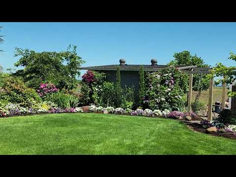 Видео: Наш участок.