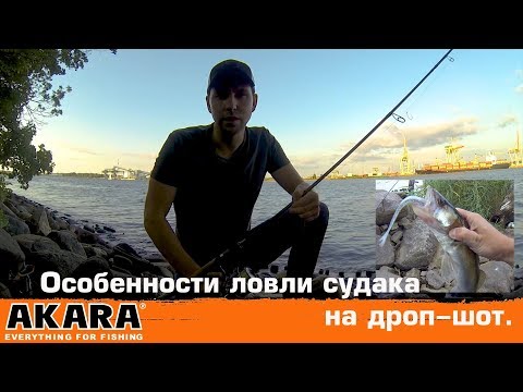 Видео: Особенности ловли судака на дроп-шот.
