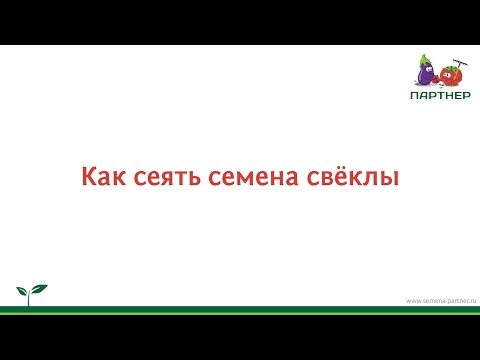 Видео: Как сеять семена свёклы