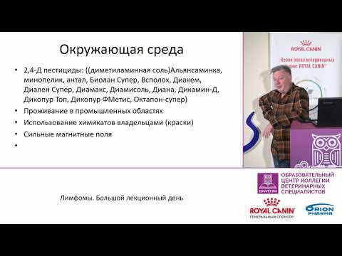 Видео: Лимфомы. Итоговый алгоритм диагностики - Пака М. В.