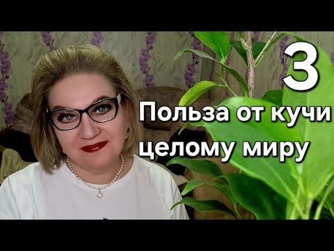 Видео: Польза от кучи целому миру💯